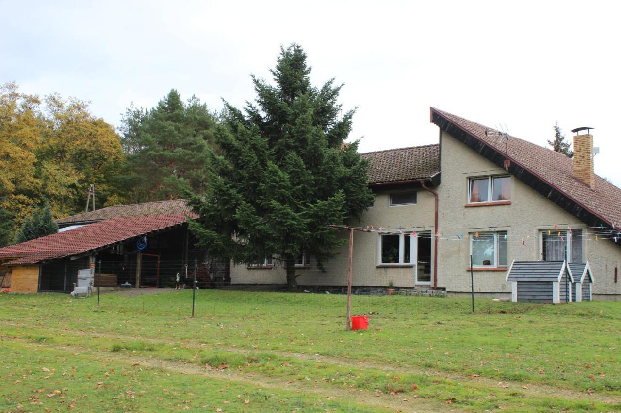 Gospodarstwo Agroturystyczne Agroletnica Świdnica Dış mekan fotoğraf