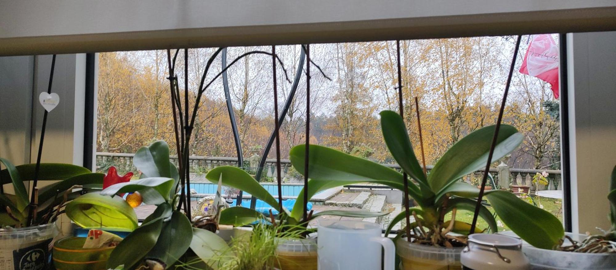Gospodarstwo Agroturystyczne Agroletnica Świdnica Dış mekan fotoğraf